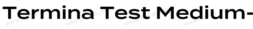 Termina Test Medium字体转换
